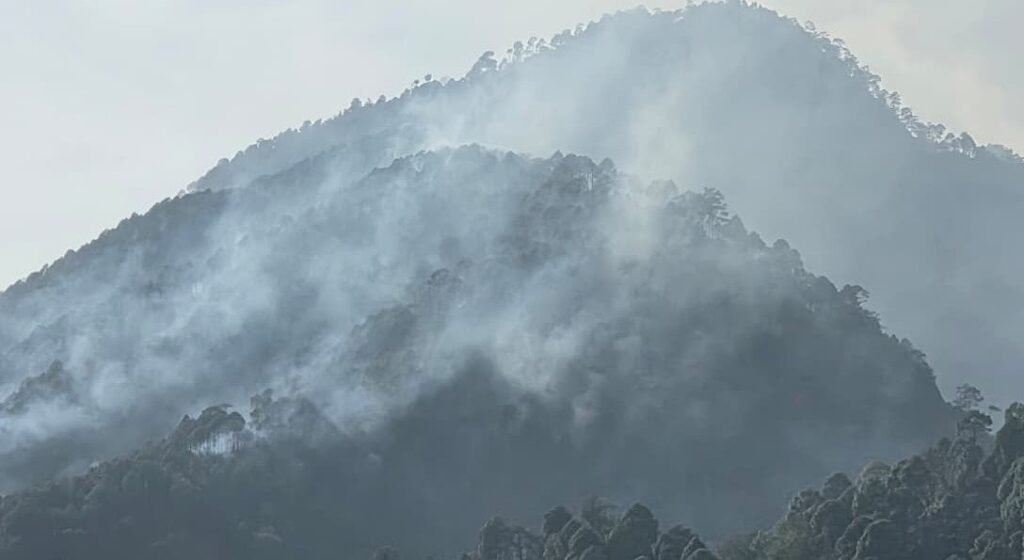 उठो जागो वन विभाग, जंगलों को आग से बचाओ